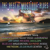 Různí interpreti – Best Of Mustique Blues