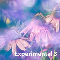 Sandro – Experimental 3