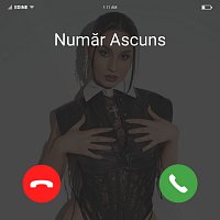 Edine – Număr ascuns