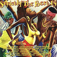 Various Artists.. – Strictly The Best Vol. 13