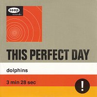 This Perfect Day – Dolphins