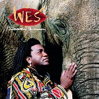 Wes – Sinami, The Memory