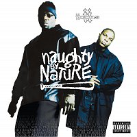 Naughty By Nature – Icons