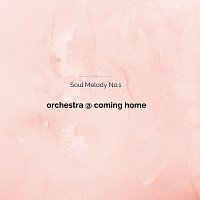 orchestra @ coming home – Soul Melody No.1