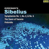 Atlanta Symphony Orchestra, The Cleveland Orchestra, Yoel Levi – Everybody's Sibelius