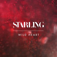 Starling – Wild Heart