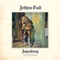 Přední strana obalu CD Aqualung 40th Anniversary