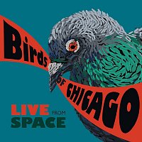 Birds Of Chicago, Allison Russell, JT Nero – Live From Space [Evanston, Illinois / June 28, 2013]
