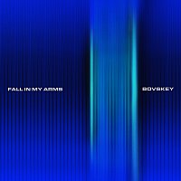 Bovskey – Fall In My Arms