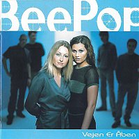 Přední strana obalu CD Vejen Er Aben