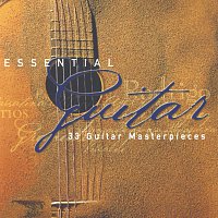 Různí interpreti – Essential Guitar [2 CDs]