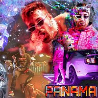 Flamingo – Panama