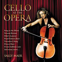 Sally Maer, Tasmanian Symphony Orchestra, Andrew Greene – Cello At The Opera