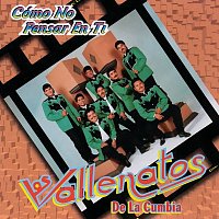 Los Vallenatos De La Cumbia – Cómo No Pensar En Ti