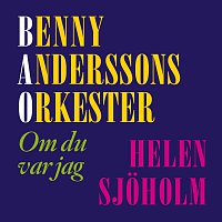 Benny Anderssons Orkester, Helen Sjoholm – Om du var jag