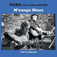 M’zungu Blues [Live] (feat. Primus Sitter)