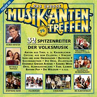 Přední strana obalu CD Das große Musikantentreffen - Folge 20