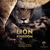 Sarah Class – Lion Kingdom