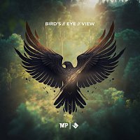 Matthew Parker, Jacob Stanifer – Bird's Eye View