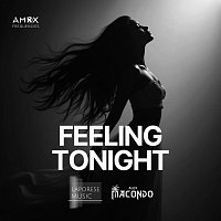 Přední strana obalu CD Feeling Tonight (Extended)