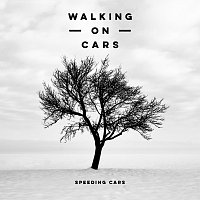 Speeding Cars [Acoustic Version]