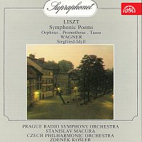 Různí interpreti – Liszt: Symfonické básně (Prométheus, Orfeus, Tasso), Wagner: Siegriedova idyla