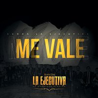 Banda La Ejecutiva De Mazatlán Sinaloa – Me Vale