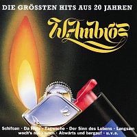 Die Grossten Hits Aus 20 Jahren