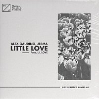 Alex Gaudino, Jerma – Little Love (pres. Lil' Love) [Plaster Hands Sunset Mix]