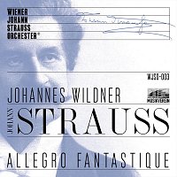 Wiener Johann Strauss Orchester – Allegro fantastique - Live recorded at Musikverein Vienna (Live)