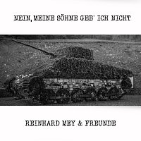 Reinhard Mey – Nein, meine Sohne geb' ich nicht