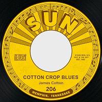 James Cotton – Cotton Crop Blues / Hold Me in Your Arms