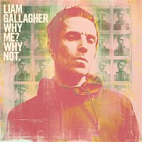 Liam Gallagher – Why Me? Why Not. (Deluxe Edition) MP3