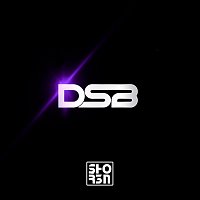 Přední strana obalu CD Dsb