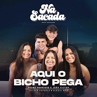 Pedro Henrique e Joao Victor, Alexia Reis, Júlia & Rafaela, Workshow, Na Sacada – Na Sacada #1: Aqui O Bicho Pega