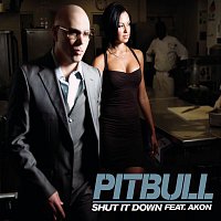 Pitbull – Shut It Down