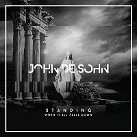 John De Sohn, Roshi – Standing When It All Falls Down (Official NiP Team Song)