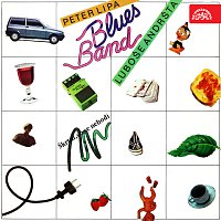 Peter Lipa, Blues Band Luboše Andršta – Škrtni, co se nehodí MP3