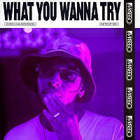 What You Wanna Try [Kweku Saunderson Detroit Mix]