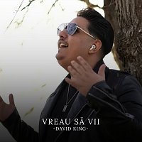 Fratii Turcitu, David King – Vreau să vii