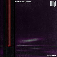 Přední strana obalu CD Parallels (Original mix)