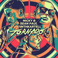 Synthkartell, Sean Paul, Nicky B – Tornado