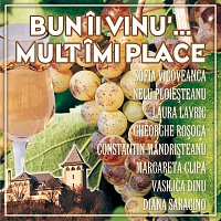 Různí interpreti – Bun Ii Vinu' Mult Imi Place