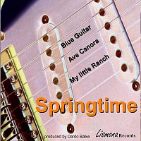 SPRINGTIME Band – Springtime - Blue Guitar