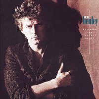 Don Henley – Building The Perfect Beast