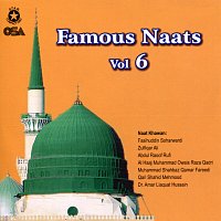 Různí interpreti – Famous Naats, Vol. 6