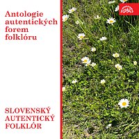 Přední strana obalu CD Antologie autentických forem folklóru. Slovenský autentický folklór.