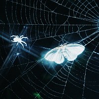 Přední strana obalu CD Toxins [Remix]