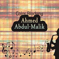 Ahmed Abdul-Malik – Color Blocking