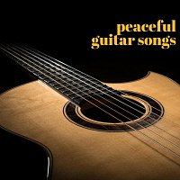 Thomas Tiersen, James Shanon, Ed Clarke, Chris Mercer, Django Wallace – Peaceful Guitar Songs